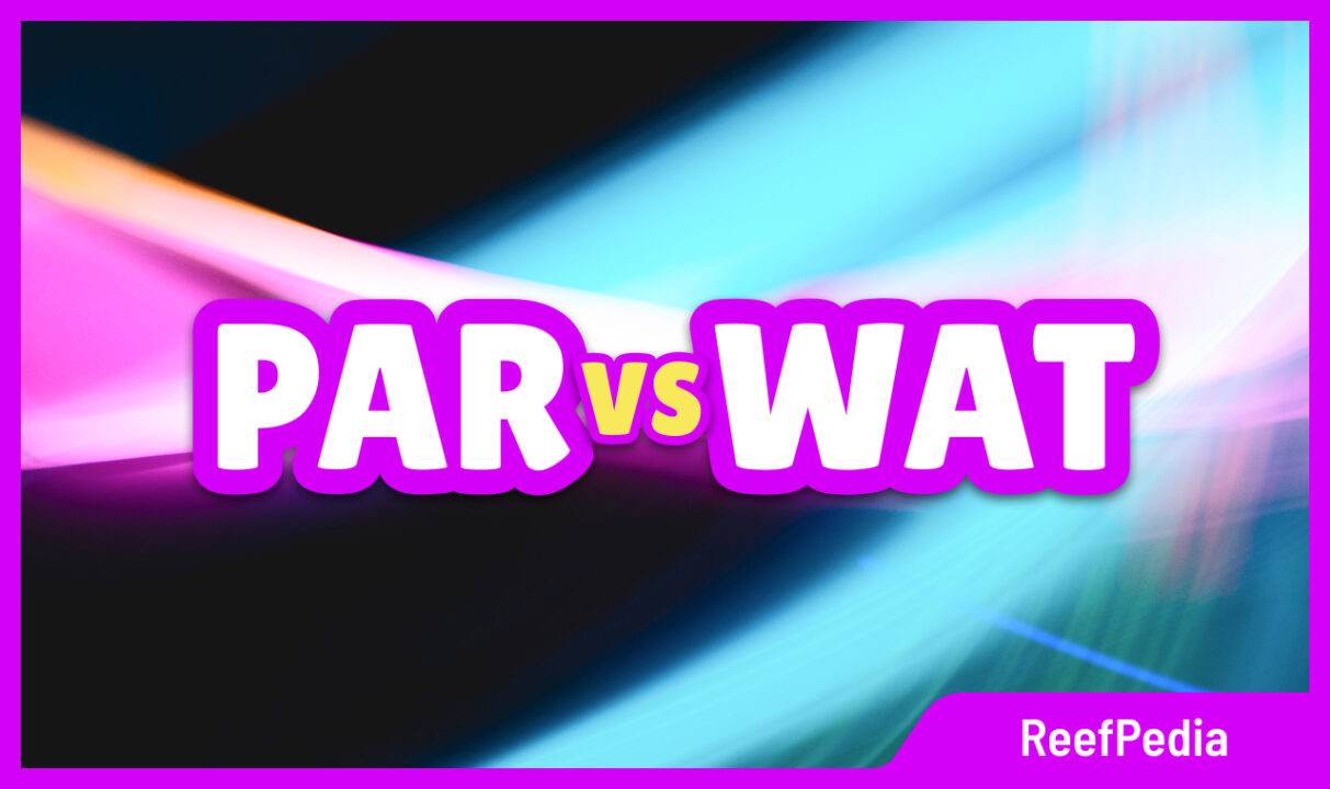 WAT vs PAR