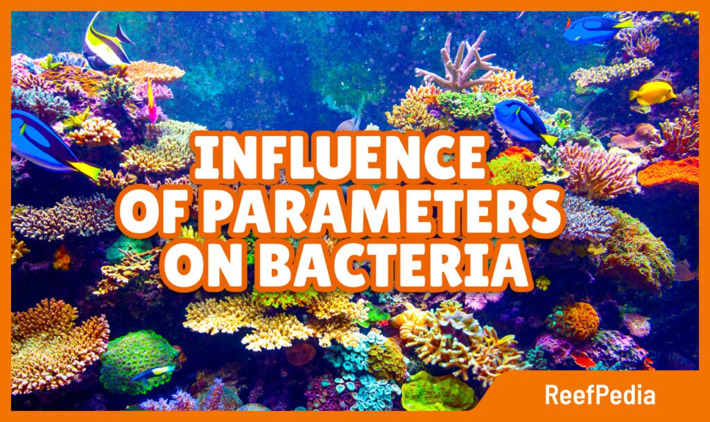 Influence of parameters on bacteria in a marine aquarium