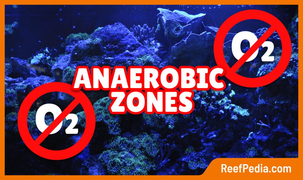 Anaerobic zones