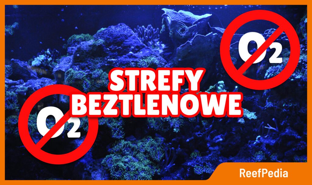 Strefy beztlenowe