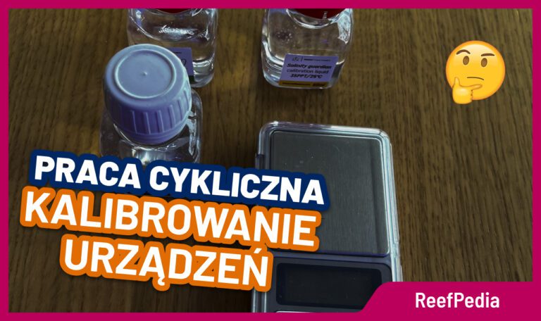 Kalibracja urządzeń w akwarystyce morskiej - prace cykliczne