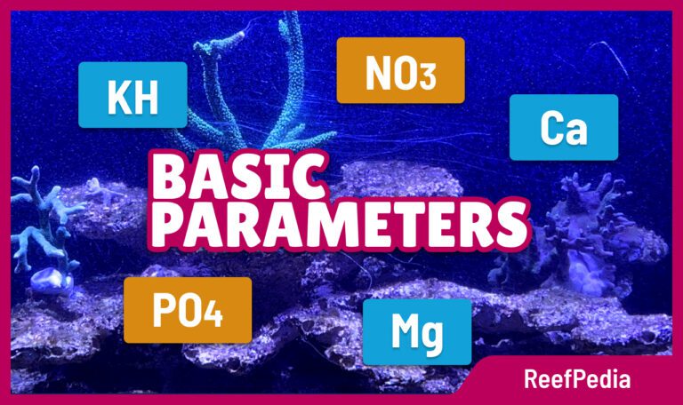 Basic water parameters in a marine aquarium