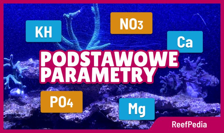 Podstawowe parametry wody w akwarium morskim