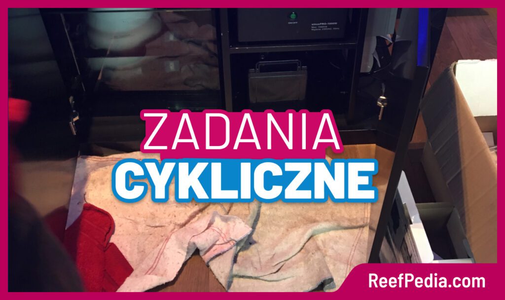 zadania cykliczne