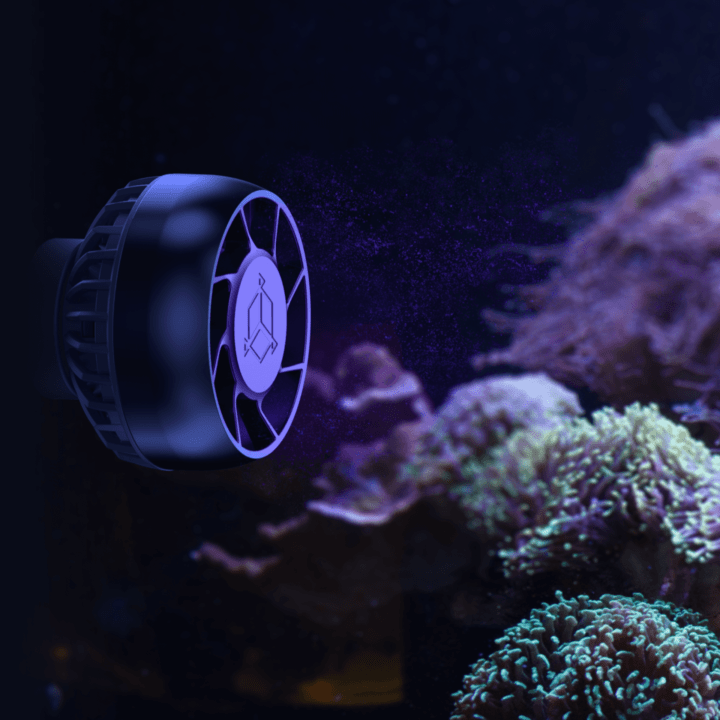 SPS corals - smart wave image