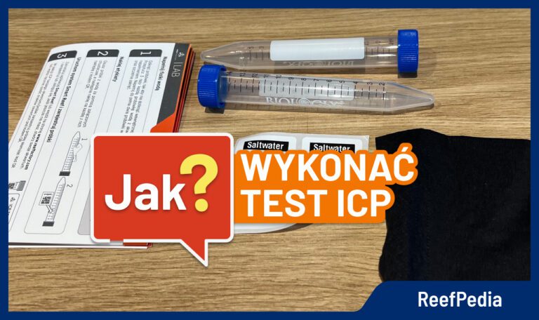 test ICP instrukcja