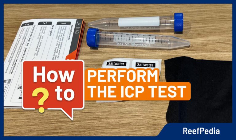 ICP TEST