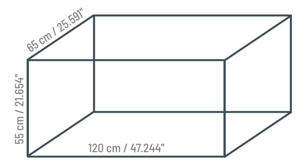 Aquarium set up - what size should I choose? - Reef Pedia