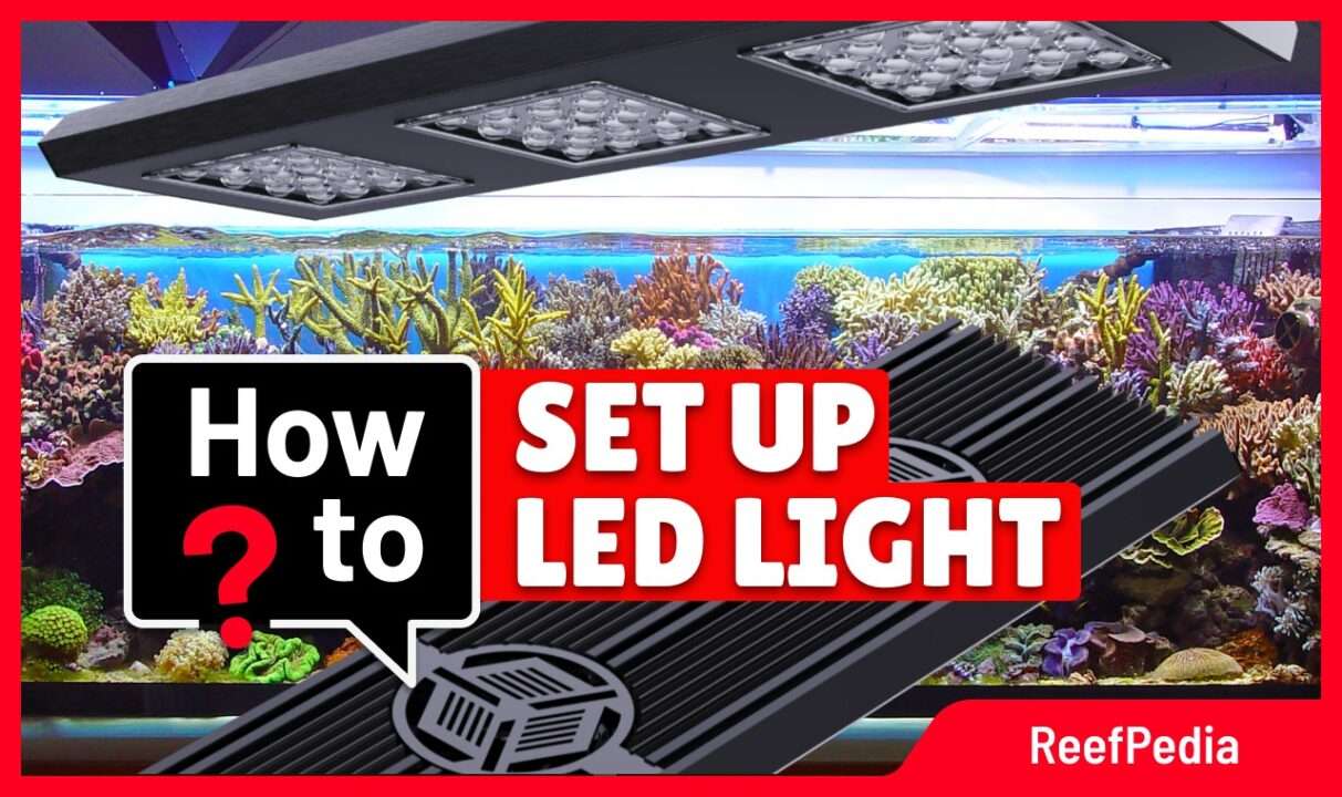 Proper LED lamp setting - banner