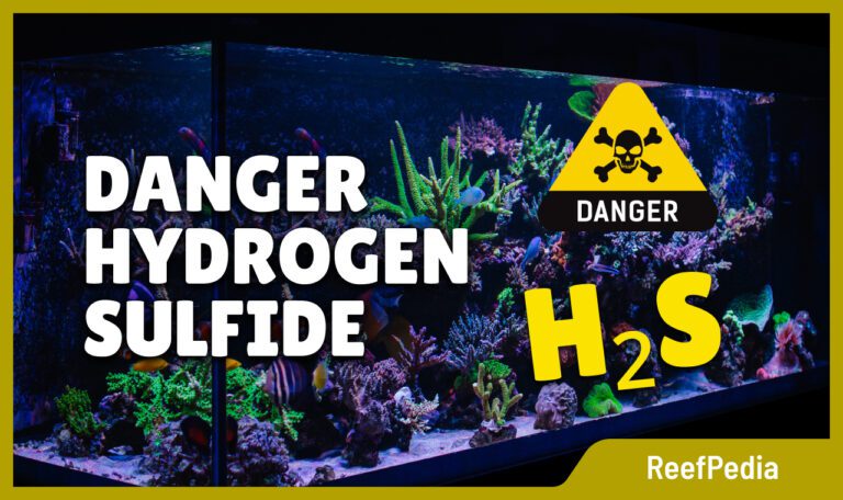 hydrogen sulfide