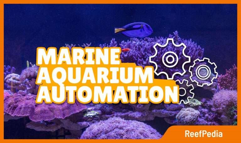 Marine aquarium automation - banner