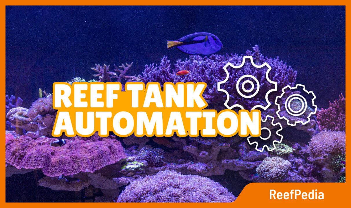 Marine aquarium automation - banner