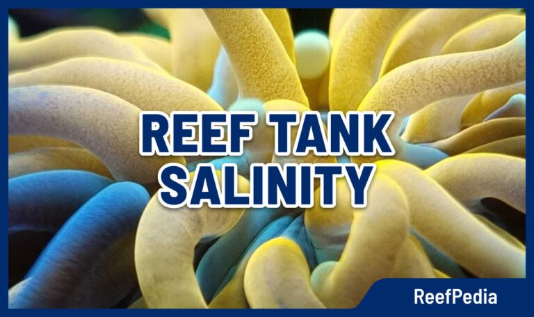 reef tank salinity hacks blog on reefpedia reef and saltwater aquarium knowledge base