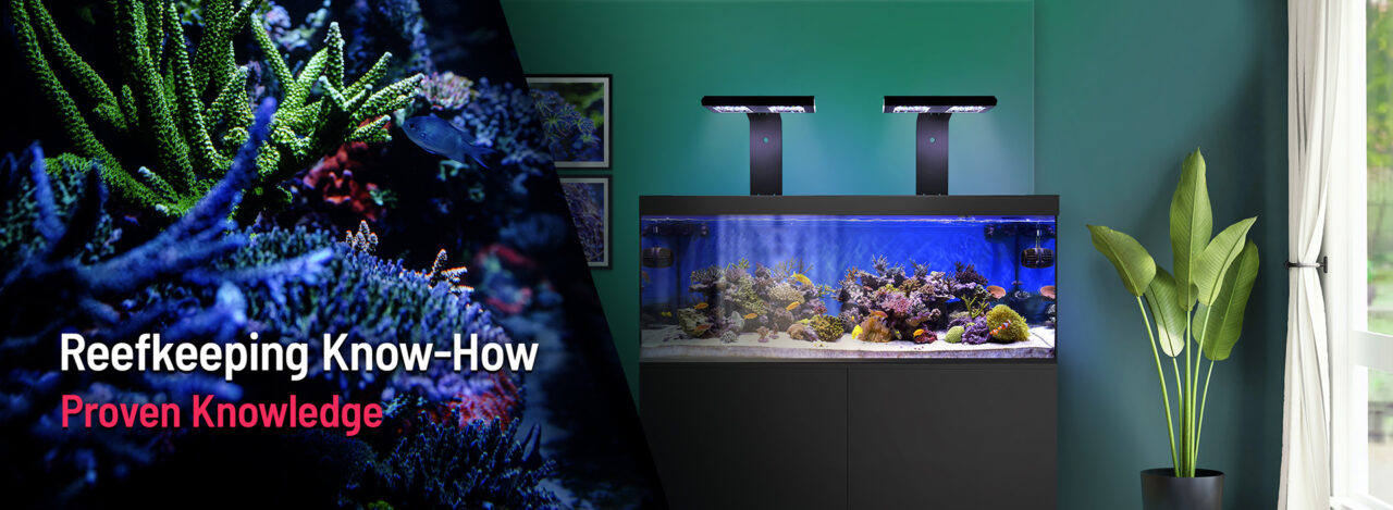 Reefkeeing Know-How Proven Knowledge