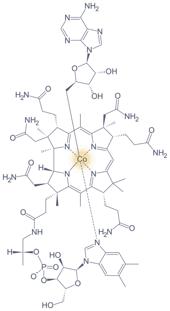 Cobamamide_B12