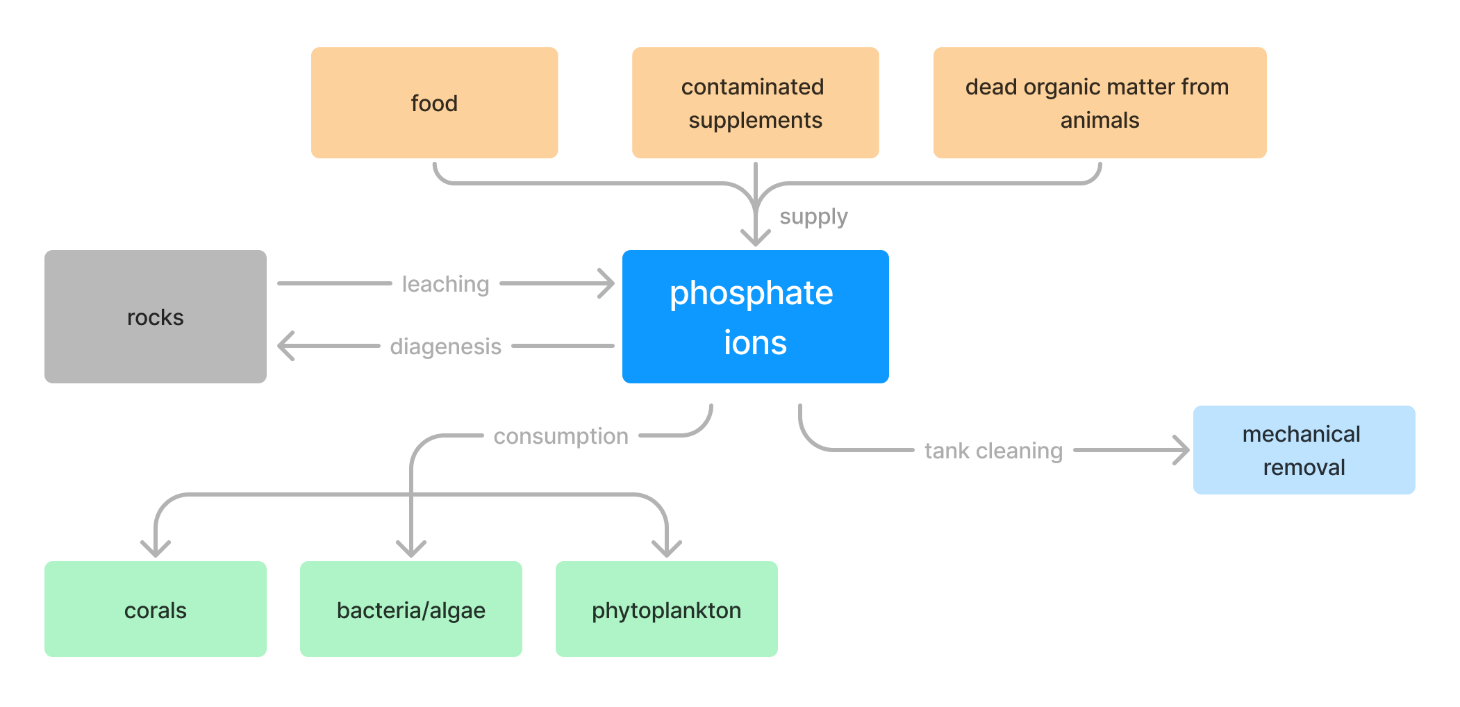 phoshate cycle