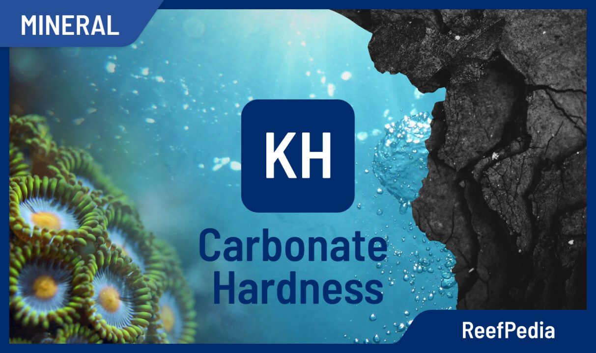 Carbonate Hardness (KH) – The role in a marine aquarium - Reef Pedia