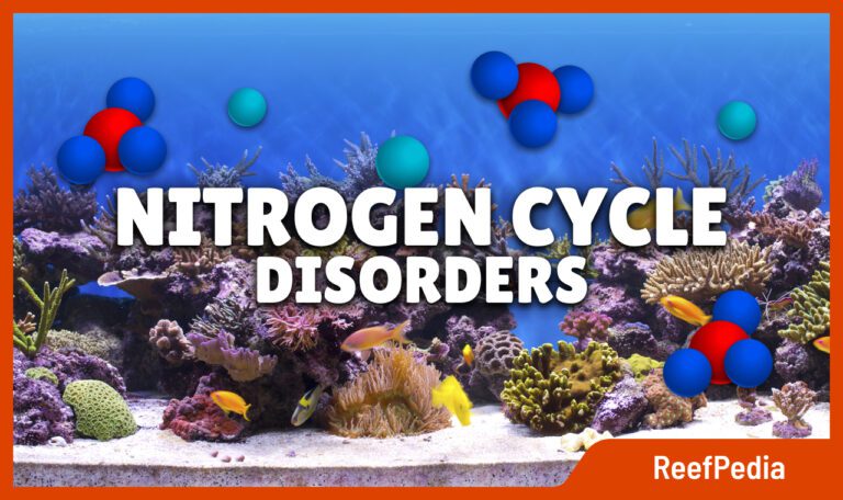 Nitrogen cycle disorders - impact of water chemistry