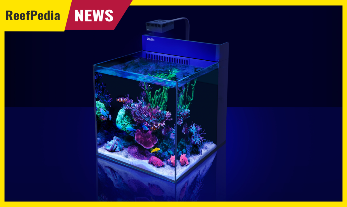 MAX NANO G2 XL von Red Sea – modernes Nano-Aquarium - Reef Pedia